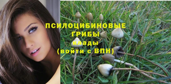 PSILOCYBIN Киреевск