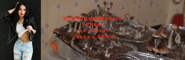 а пвп мука Каменка