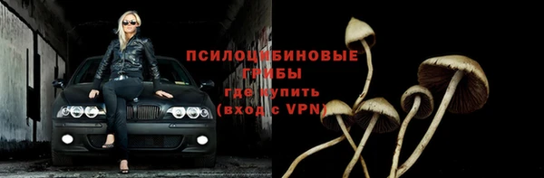 бошки Иннополис