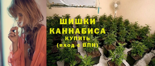 стафф Каменск-Шахтинский