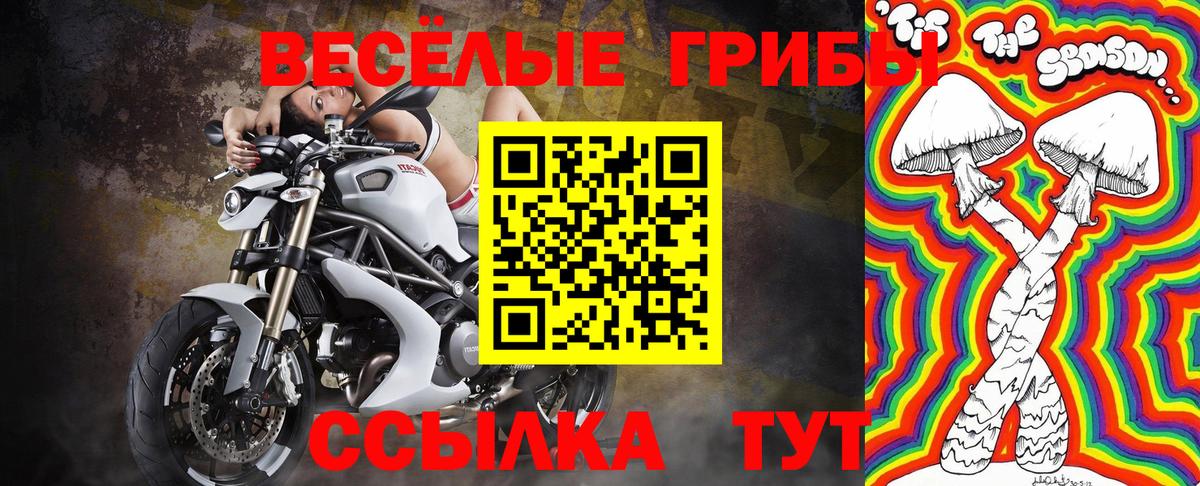 Псилоцибиновые грибы MAGIC MUSHROOMS  Вход с VPN  Краснознаменск 